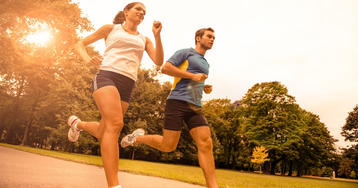 Fitness Courses in Sydney CBD